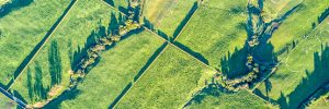 South Jersey Realtors for Farm Land