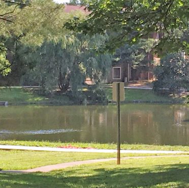 Three Pond Neighborhood in Voorhees