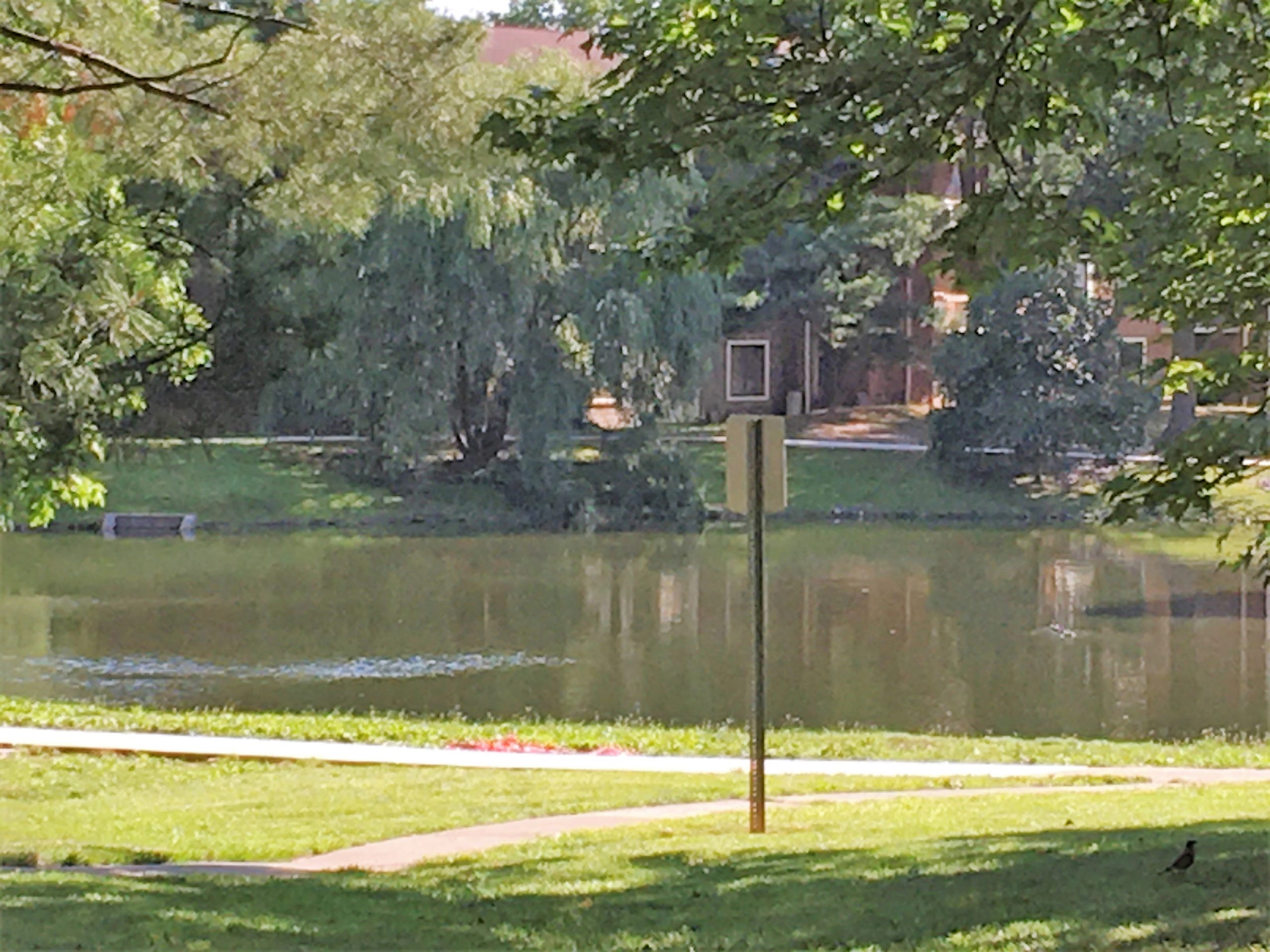 Three Pond Neighborhood in Voorhees